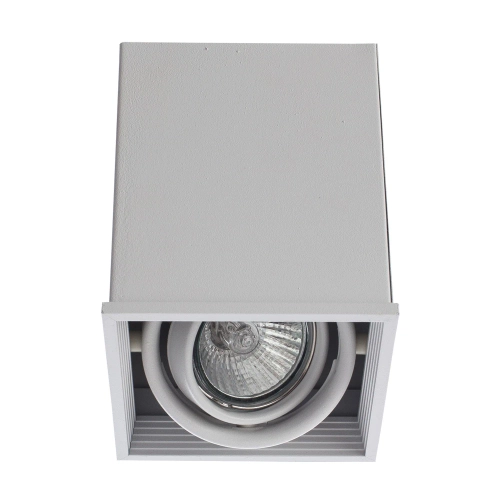 Купить Точечный накладной светильник Arte Lamp CARDANI PICCOLO A5942PL-1WH