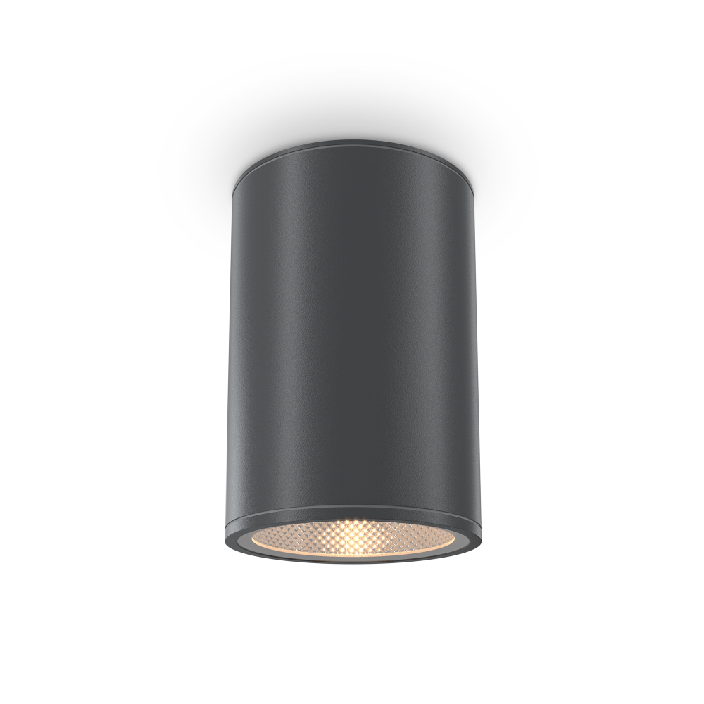 Уличный потолочный светильник Outdoor O306CL-L12GF