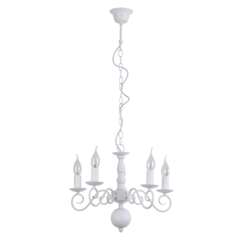 Купить Подвесная люстра Arte Lamp ISABEL A1129LM-5WH