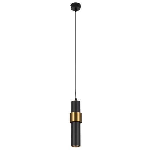 Купить Точечный подвесной светильник ARTE LAMP RAN A3144SP-1BK