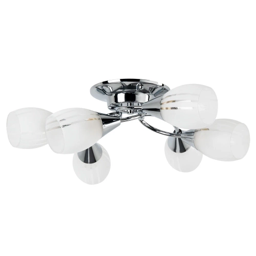 Купить Потолочная люстра Arte Lamp PENNY A2701PL-6CC