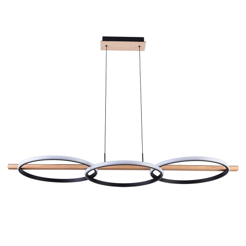 Купить Подвесная люстра Arte Lamp FLUIDO A3913SP-24BK