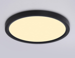 FZ1904 BK черный IP54 20W 3000K-6500K CCT-переключатель D300*25 (Без ПДУ)