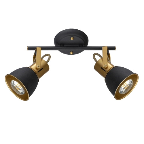 Купить Спот Arte Lamp JOVI A1677PL-2GO