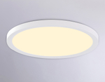 FZ1909 WH белый IP54 44W 3000K-6500K CCT-переключатель D600*25 (Без ПДУ)
