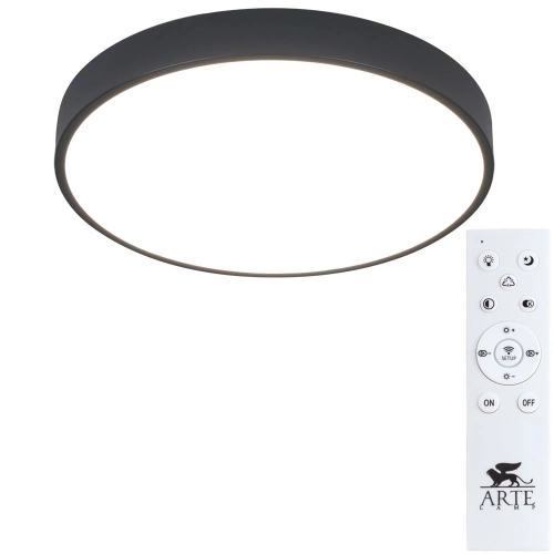 Купить Потолочный светильник Arte Lamp ARENA A2661PL-1BK