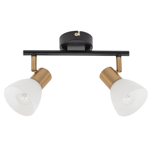 Купить Спот Arte Lamp FALENA A3117PL-2BK