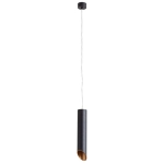 Точечный подвесной светильник Arte Lamp PILON-GOLD A1536SP-1BK