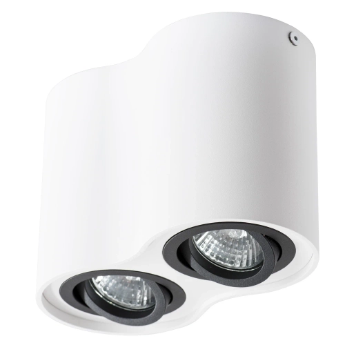 Купить Точечный накладной светильник Arte Lamp FALCON A5644PL-2WH