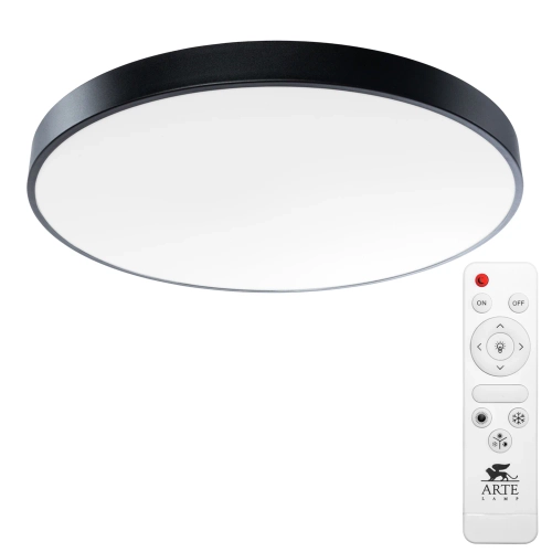 Купить Потолочный светильник Arte Lamp ARENA A2673PL-1BK