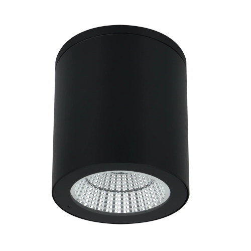 Купить Уличный потолочный светильник Arte Lamp TORCULAR A1813PF-1BK