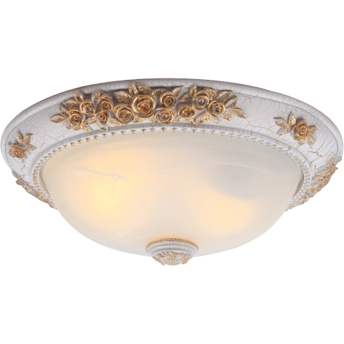 Купить Потолочный светильник Arte Lamp TORTA A7102PL-2WG
