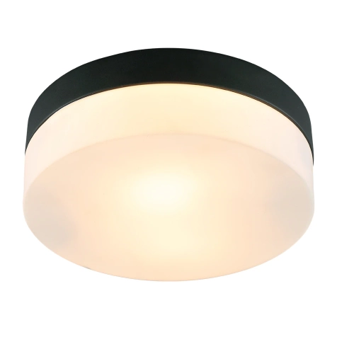 Купить Потолочный светильник Arte Lamp AQUA-TABLET A6047PL-2BK