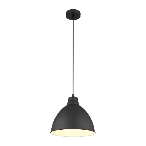 Купить Подвесной светильник Arte Lamp BRACCIO A2055SP-1BK