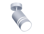 TN246 SL/S серебро/песок LED 4200K 5W D60*100