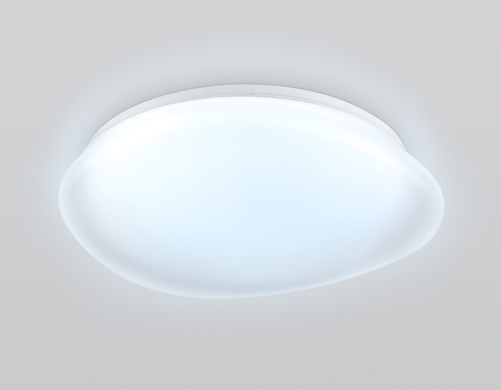 FZ1610 FR матовый IP20 40W 3000-6500K+RGB 410*100 (ПДУ ИК)