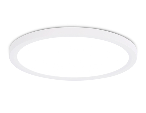 Купить FZ1909 WH белый IP54 44W 3000K-6500K CCT-переключатель D600*25 (Без ПДУ)