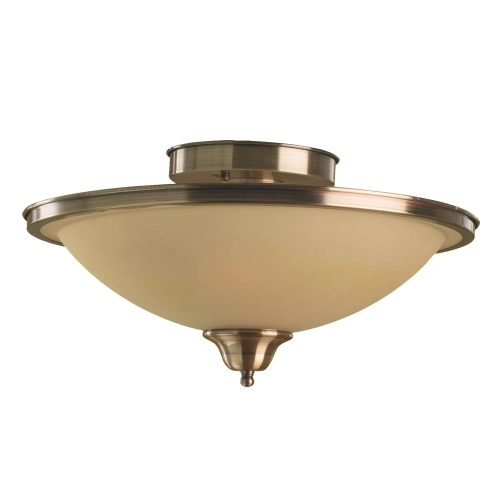 Купить Потолочный светильник Arte Lamp SAFARI A6905PL-2AB