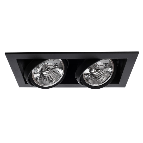 Купить Карданный светильник Arte Lamp CARDANI GRANDE A5935PL-2BK