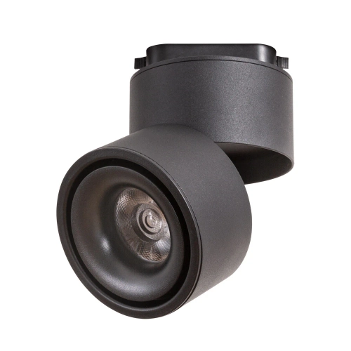 Купить Трековый светильник Arte Lamp ARCTURUS A7716PL-1BK