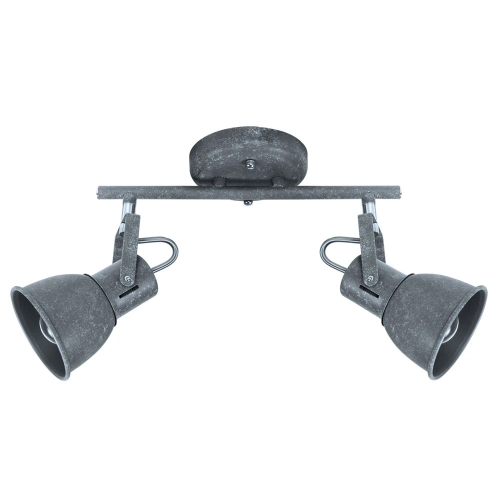 Купить Спот Arte Lamp JOVI A1677PL-2GY