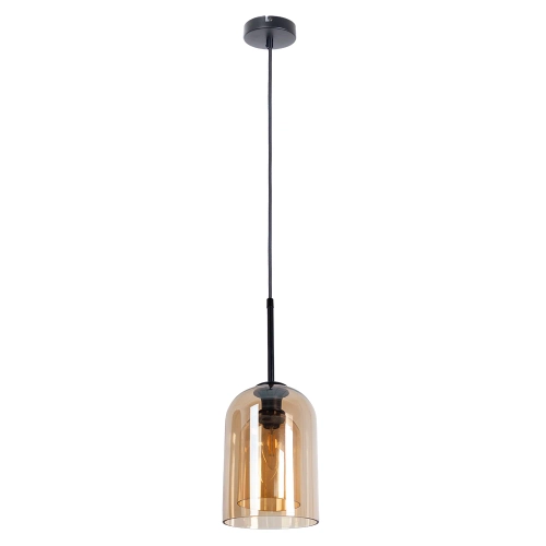 Купить Подвесной светильник Arte Lamp PAIO A7015SP-1BK