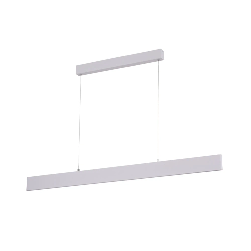 Купить Подвесной светильник Arte Lamp LARGO A2505SP-2WH