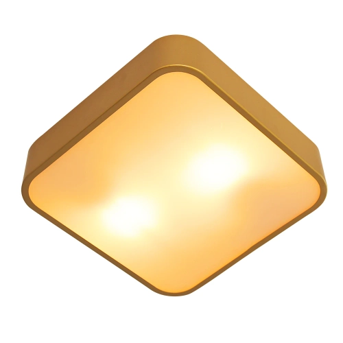 Купить Потолочный светильник Arte Lamp COSMOPOLITAN A7210PL-2GO