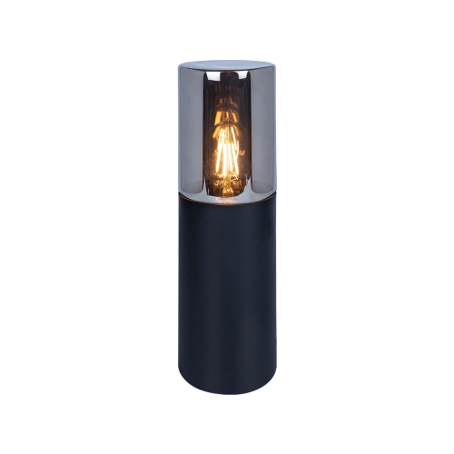 Купить Ландшафтный светильник Arte Lamp WAZN A6218FN-1BK