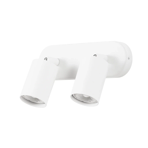 Купить Спот Arte Lamp AQUARIUS A3226PL-2WH