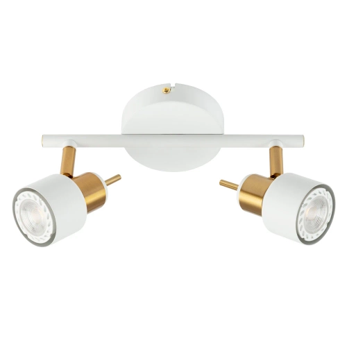 Купить Спот Arte Lamp ALMACH A1906PL-2WH