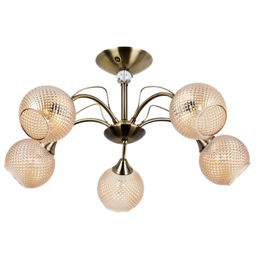Купить Потолочная люстра Arte Lamp WILLOW A3461PL-5AB