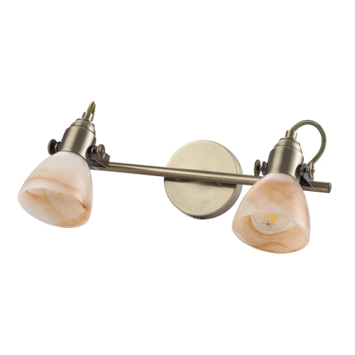 Купить Спот Arte Lamp TULIP A9581AP-2AB