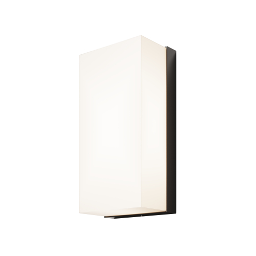 Купить Уличный настенный светильник Outdoor O454WL-L10GF3K