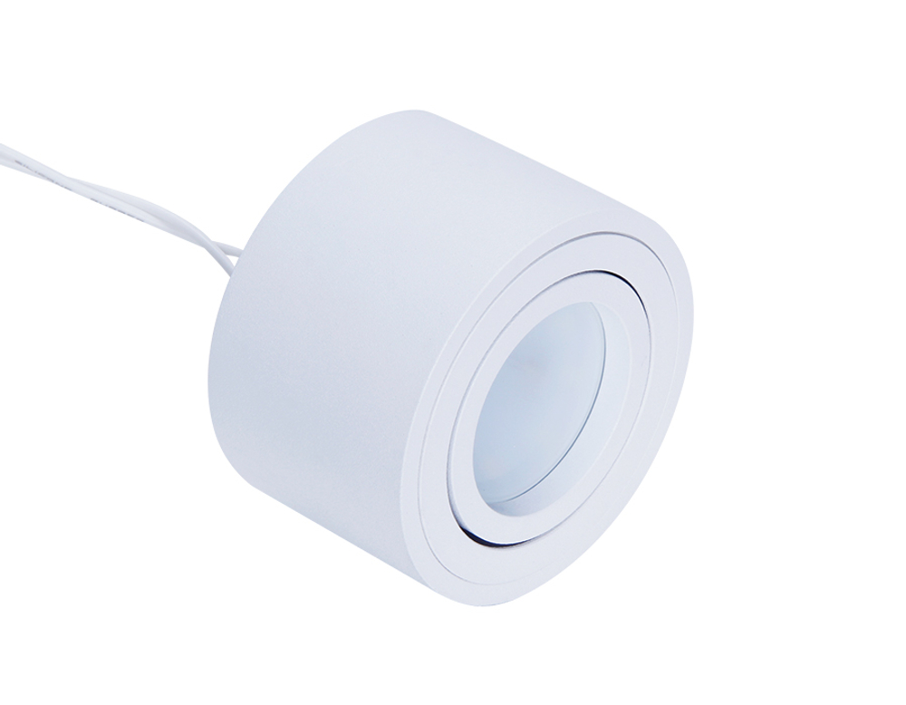 TN222 WH/S белый/песок GU5.3 D80*50