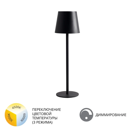 Купить Уличный настольный светильник Arte Lamp FUYUE A1614LT-1BK