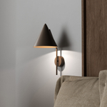 Светильник настенный 11088 CONO BROWN