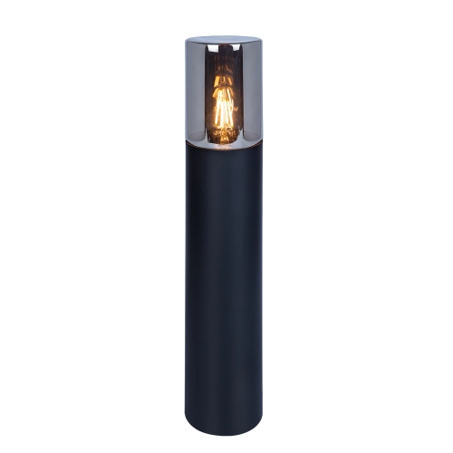 Купить Ландшафтный светильник Arte Lamp WAZN A6215PA-1BK
