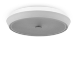 Потолочный светильник Freya FR10012CL-L24W