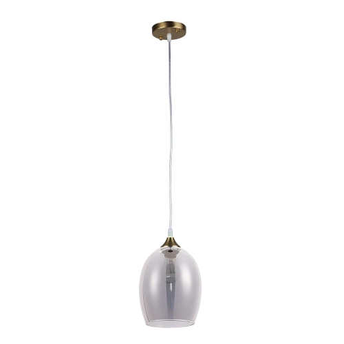 Купить Подвесной светильник Arte Lamp PROPUS A4344SP-1PB