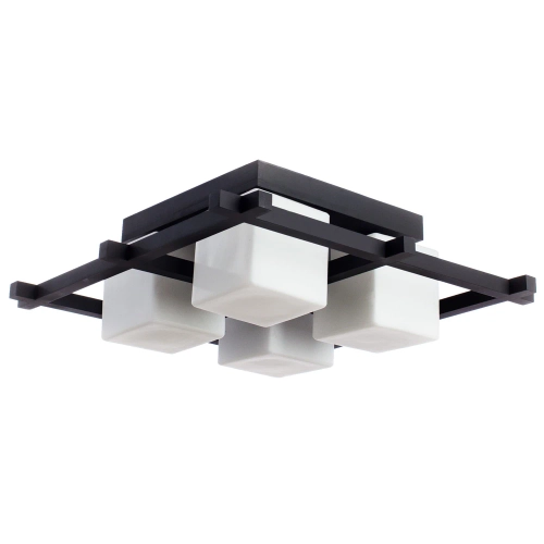 Купить Потолочная люстра Arte Lamp WOODS A8252PL-4CK