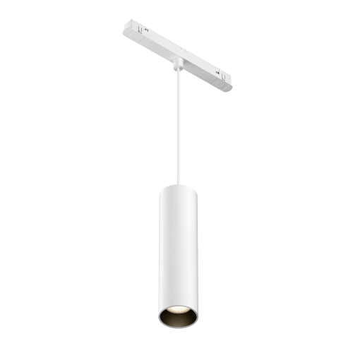 Купить Трековый подвесной светильник Technical TR041-2-12W3K-W