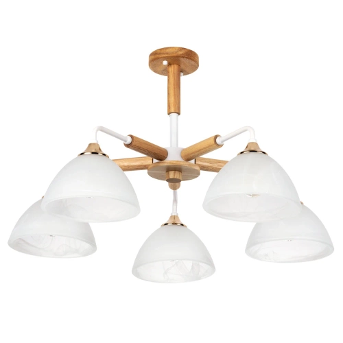 Купить Потолочная люстра Arte Lamp MATTHEW A5032PL-5BR