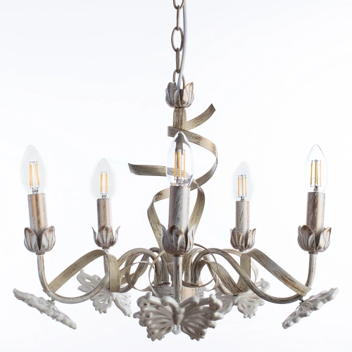Купить Подвесная люстра Arte Lamp LIBELLULA A8626LM-5WG