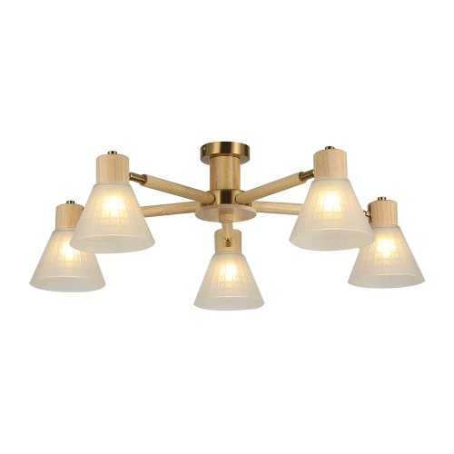 Купить Потолочная люстра Arte lamp MELEPH A4096PL-5BR