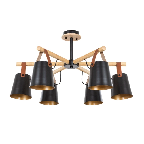 Купить Потолочная люстра Arte Lamp THOMAS A7032PL-6BK