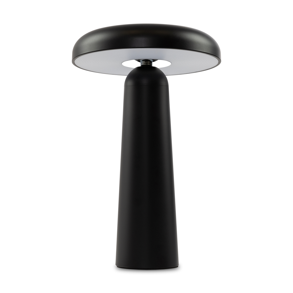 Аккумуляторный светильник Freya FR6109TL-L4B