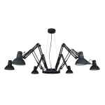 Подвесная люстра Arte Lamp RAGNO A2043SP-6BK