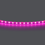 420512 Лента LIGHTSTAR LED 24V 12W 120leds/M 1600 LM/M розовый IP20 1шт = 5м