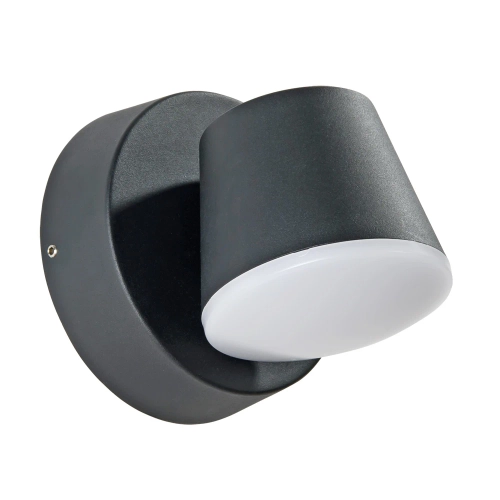 Купить Уличный настенный светильник Arte Lamp CHICO A2212AL-1BK